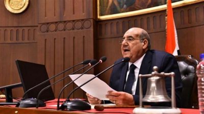 نص كلمة رئيس مجلس الشيوخ حول الموافقة على تعديلات قانون الاستثمار