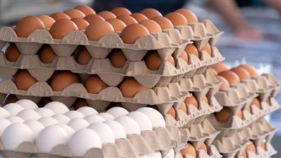 عدوى البيض المصري تصيب أمريكا أوروبا