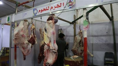 محافظ كفر الشيخ يتفقد معرض