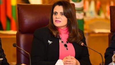 الوفد تطرح أجندة طريق لحل مشاكل المصريين بالخارج