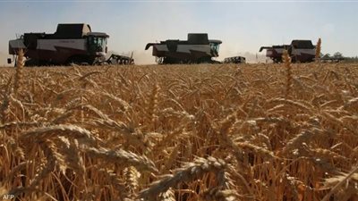 مغادرة 5 سفن جديدة محملة بالحبوب من موانئ أوكرانيا