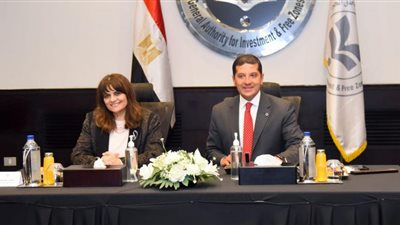 خطة الهجرة لتقديم عدد من المحفزات والتيسيرات للمواطنين المصريين بالخارج