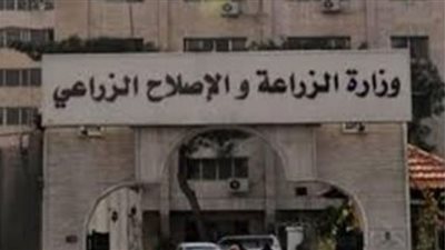 أهم أسعار المحاصيل المحددة ضمن الزراعة التعاقدية.. ما هي؟