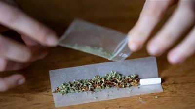 117 كيلو حشيش خلال حملات لضبط تجار الكيف