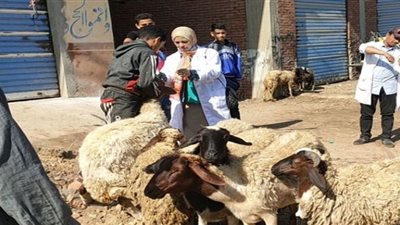 قافلة طبية بيطرية مجانية بقرية 