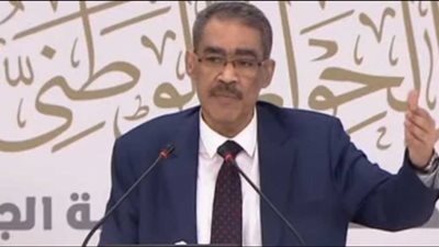 ضياء رشوان: الحوار الوطني سيناقش كل هموم المواطن (فيديو)