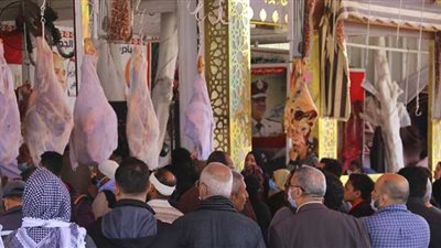 حملة لمقاطعة اللحوم والدواجن في الإسكندرية| فيديو