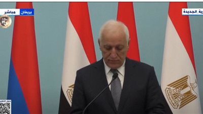 رئيس أرمينيا: المباحثات مع السيسي جاءت مثمرة ووقعنا 50 وثيقة للتعاون