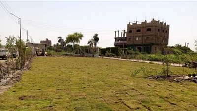 انتهاء أعمال تركيب النجيلة بالحديقة العامة بمدينة دشنا