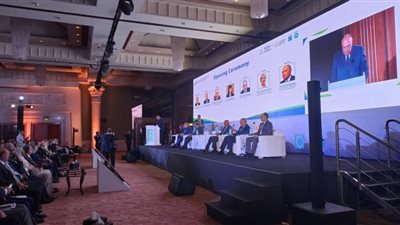 وزير الخارجية: مؤتمر شرم الشيخ cop 27 فرصة لمناقشة التغيرات المناخية