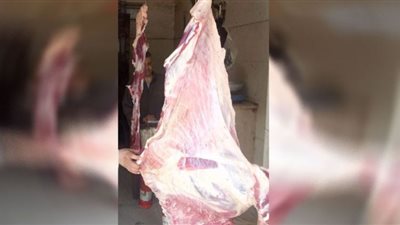 بيطري الشرقية يحرر 10 محاضر و يضبط 238 كيلو لحوم مخالفة