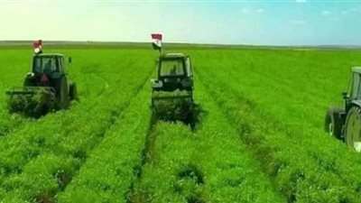التوسع في زراعة المحاصيل الاستراتيجية بتوشكى يدعم الأمن القومي.. فيديو