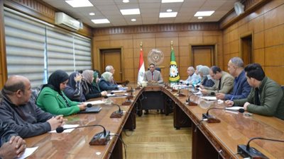 الدقهلية تناقش ترفيق مناطق ابن زيد والزعفران بالمنصورة