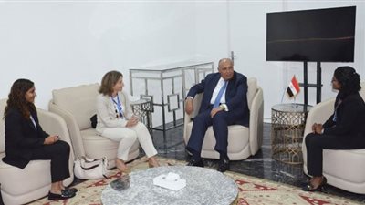 وزير الخارجية يعقد لقاءات مع الوزراء المعنيين بتيسير مفاوضات المناخ