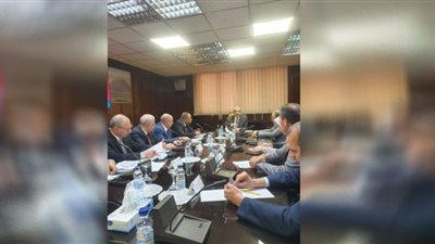 وزير الكهرباء يتابع مع رئيس شركة البحيرة لتوزيع الكهرباء مستوي الأداء والتطوير