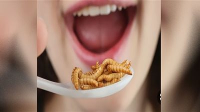 الصراصير والديدان غذاء الأوروبيين بعد غلاء الأسعار