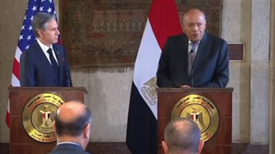 شكري: ناقشت مع بيلنكن التوصل لحل عادل للقضية الفلسطينية