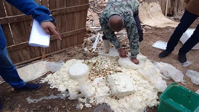 إعدام ١٠ أطنان أغذية غير صالحة بالشرقية