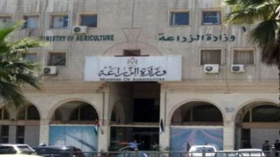 وظائف قيادية شاغرة بوزارة الزراعة... شروط التقديم