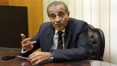 مصلحي ينفي استيراد مصر 90% من احتياجاتها للقمح