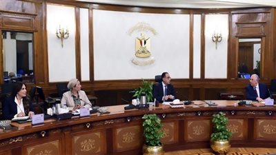 الحكومة تتوسع في زراعة الذرة الصفراء لاستخدامها في صناعة الأعلاف