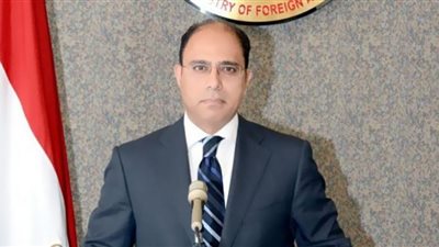 ملفات عاجلة على طاولة شكري وبلينكن.. الخارجية تكشف التفاصيل