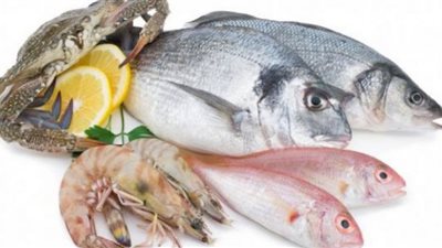 أسعار الأسماك اليوم الخميس بسوق العبور