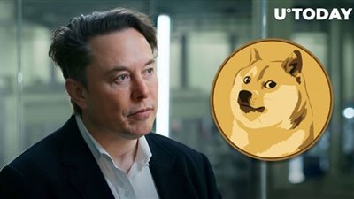 مؤسس Dogecoin لا يرغب في العمل لدى إيلون ماسك