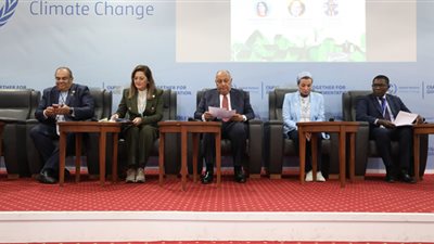محيي الدين يدعو لرفع الوعي بخطورة التغير المناخي