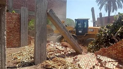إزالة تعديات على الأراضي الزراعية وأملاك الدولة في أبومناع غرب بقنا