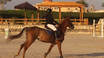 بالصور .. انطلاق منافسات الحلقة الرابعة من بطولة الجمهورية للفروسية