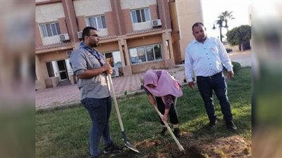 طلاب بيطري القناة يشاركون في تشجير بيت الشباب بالإسماعيلية.. صور