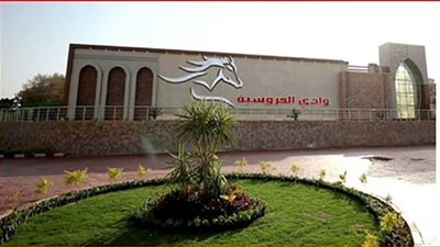 وزارة الداخلية تُنظم فعاليات تصفيات كأس العالم الرابعة 2023 للفروسية