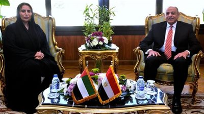 مباحثات مصرية إماراتية فى مجال النقل الجوى