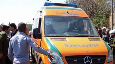 شاب ينهي حياة شقيقته بالمنيا