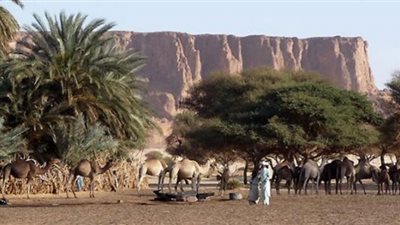 ننشر سفراء البعثة الدبلوماسية لدولة تشاد