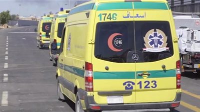 مصرع مسن صدمته سيارة بشرق النيل ببنى سويف