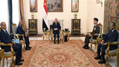 السيسي يتسلم رسالة من رئيس موريتانيا