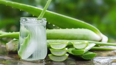 فوائد جل الصبار لبشرة صحية