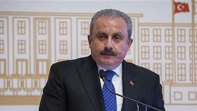تركيا تسعى لإنهاء المأساة الإنسانية في سوريا