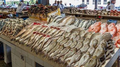 أسعار الأسماك في الأسواق اليوم.. البلطي بـ20 جنيهًا