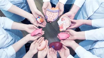 التبرع بالأعضاء ينقذ حياة 4 أشخاص من الموت