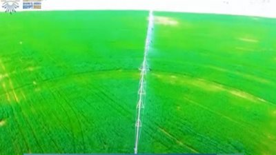 مشروعات زراعية عملاقة لتحقيق الأمن الغذائي للمواطنين (شاهد)