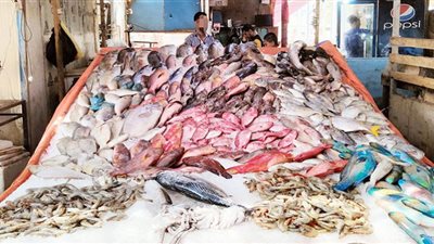 الأعلاف تشعل نار الأسماك