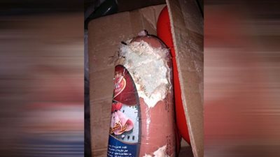 صور| ضبط 850 طن لحوم مصنعة ودواجن فاسدة بالشرقية