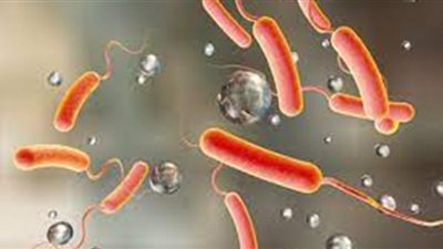 بعد انتشار الكوليرا في سوريا.. تعرف على أخطر الأمراض في العالم