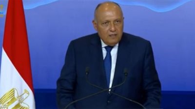 سامح شكري: COP 27 مؤتمر التنفيذ| فيديو