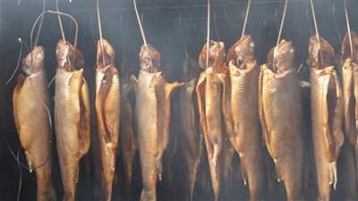 فئة ممنوعة من تناول الأسماك المدخنة