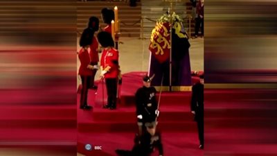 حارس نعش الملكة إليزابيث الملكة اليزابيث يغلبه التعب فيقع مغميًا عليه (شاهد)