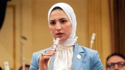نشوي رائف: تعديل قانون التوريدات والمقاولات والخدمات العامة سيعيد التوازن